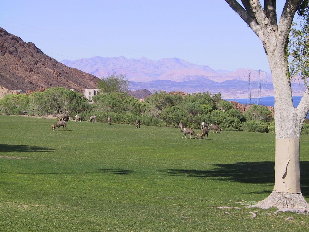 Railroad Pass Hotel And Casino Ramada By Wyndham Boulder City Εξωτερικό φωτογραφία